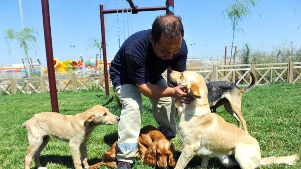 Pet Shop Sahiplerine Sertifika Eğitimi