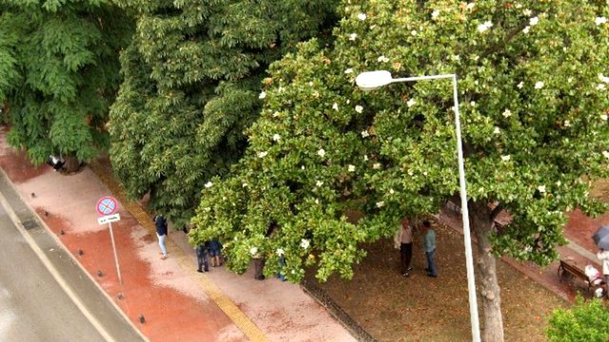 Samsunlular Yine Yağmura Yakalandı