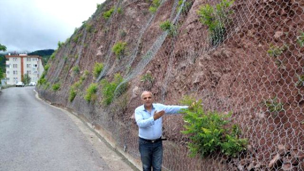 Artvin\'de Yaban Keçisi Çelik Tel Örgünün Arkasında Mahsur Kaldı