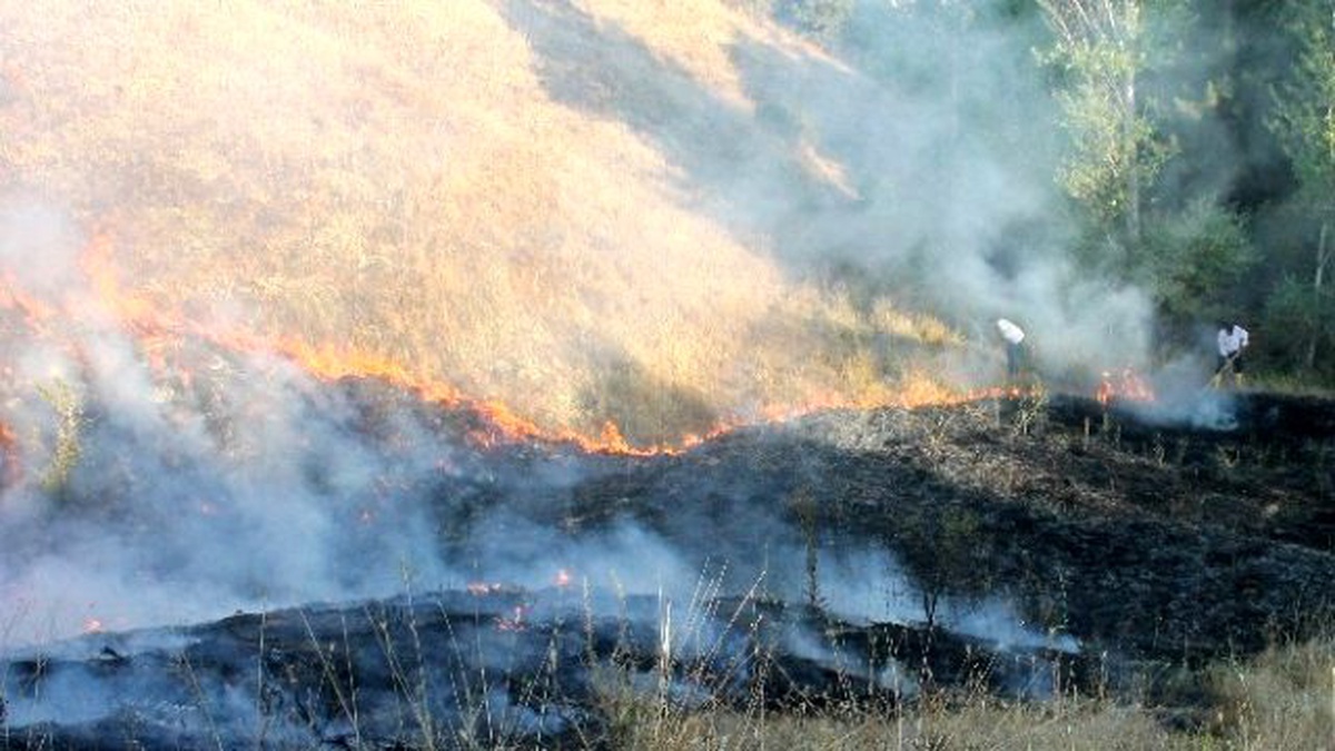 Elazığ\'da Rüzgar ve Kuşlar Ekinlerin Yanmasına Neden Oldu