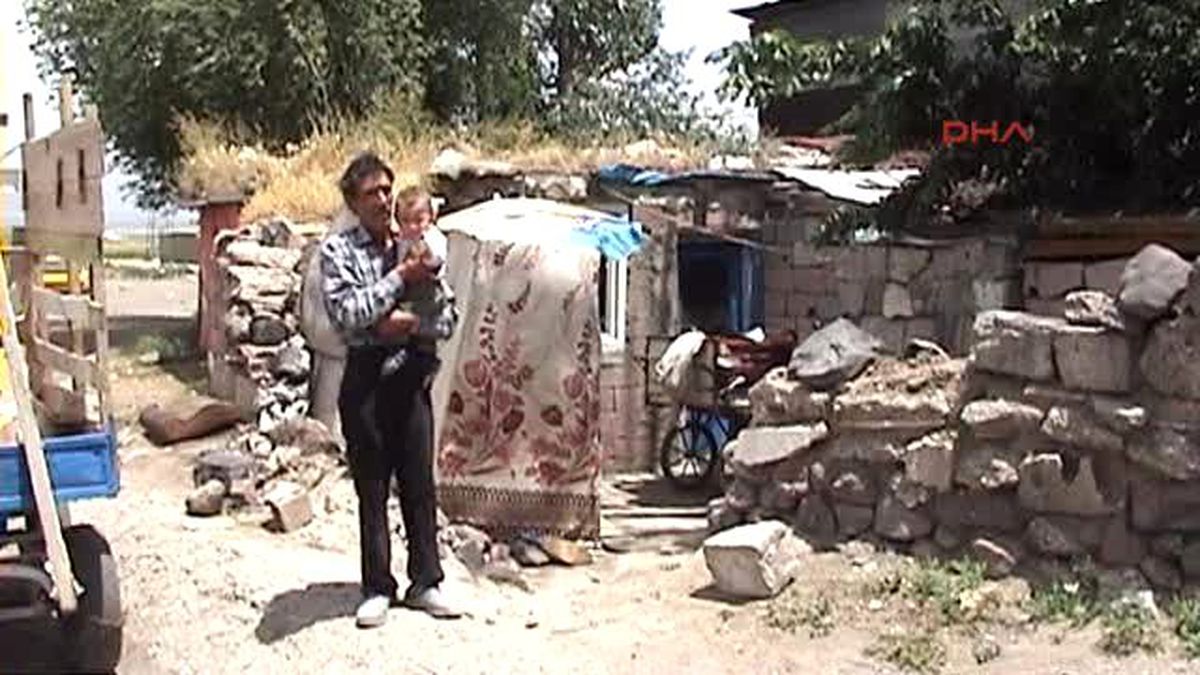 Erzurum 'Kedi Yavruları, 10 Aylık Oğlumdan Daha Şanslı Çıktı'