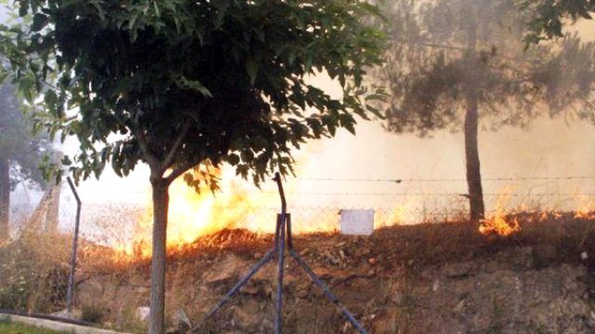 Şanlıurfa\'da Ormanlık Alanda Yangın