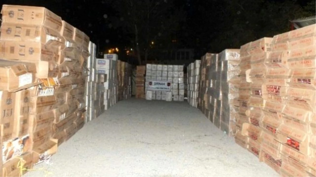 Şırnak\'ta Gümrük Kaçağı 211 Bin Paket Sigara Ele Geçirildi