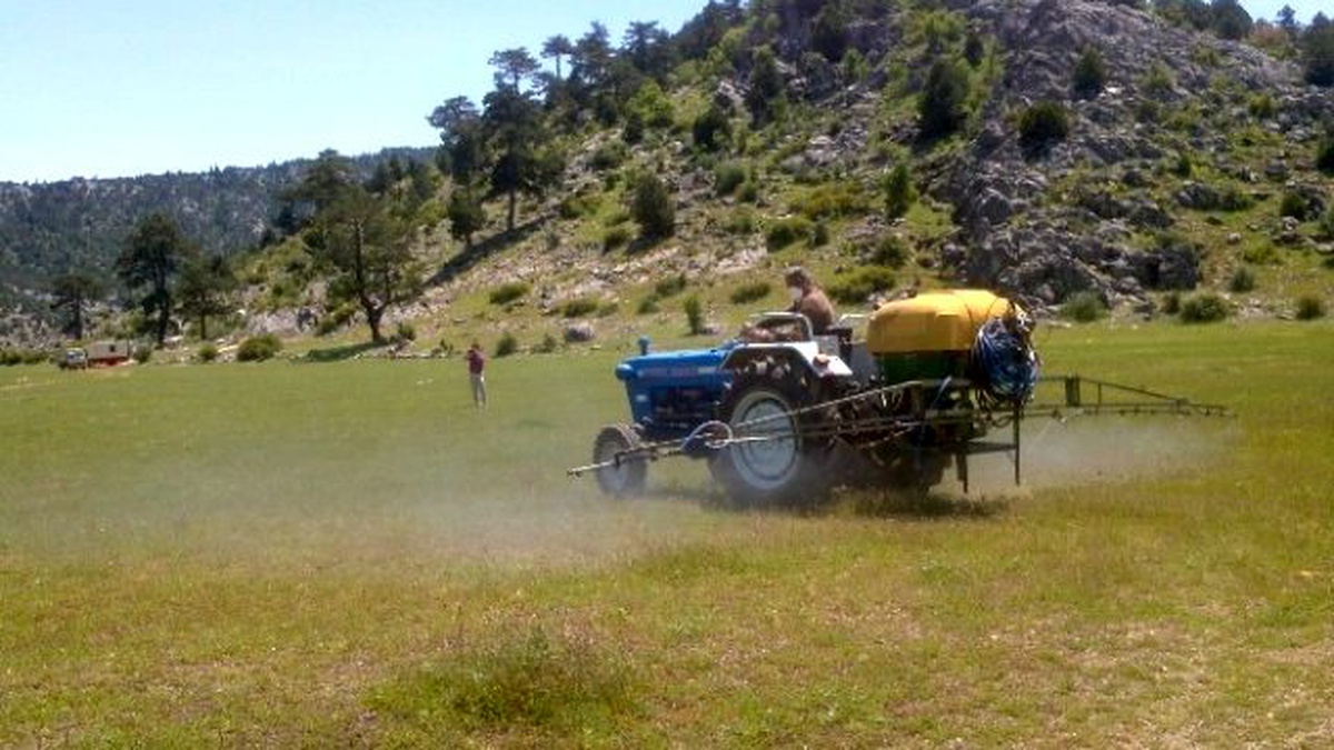 Beyşehir\'de Erken Müdahale Çekirge Zararlarını Önledi