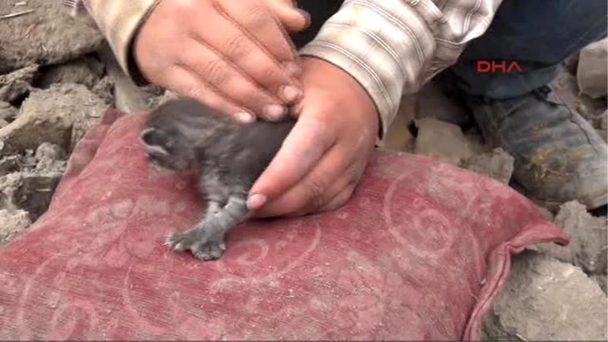 Çorum - Ev Yandı, Yaşlı Çift ve Yavru Kedileri Kurtarıldı