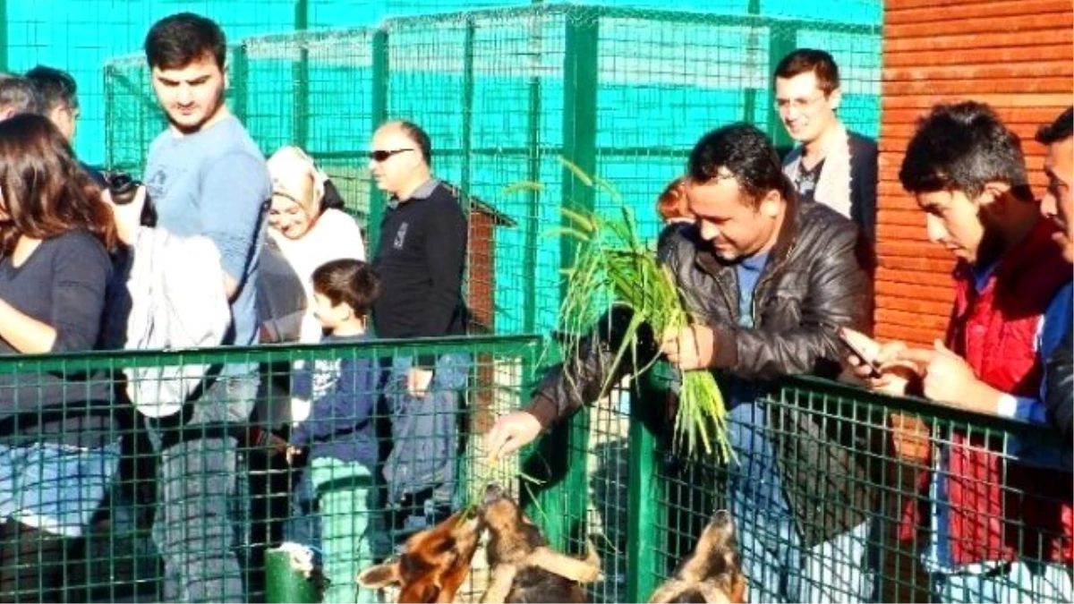 Giresun Hayvanat Bahçesi Ziyaretçilerini Bekliyor