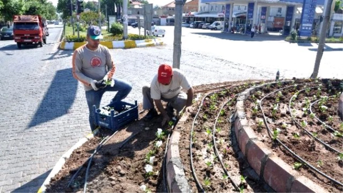 Gölbaşı Belediyesi Refüj ve Parklara 100 Bin Adet Çiçek Dikti