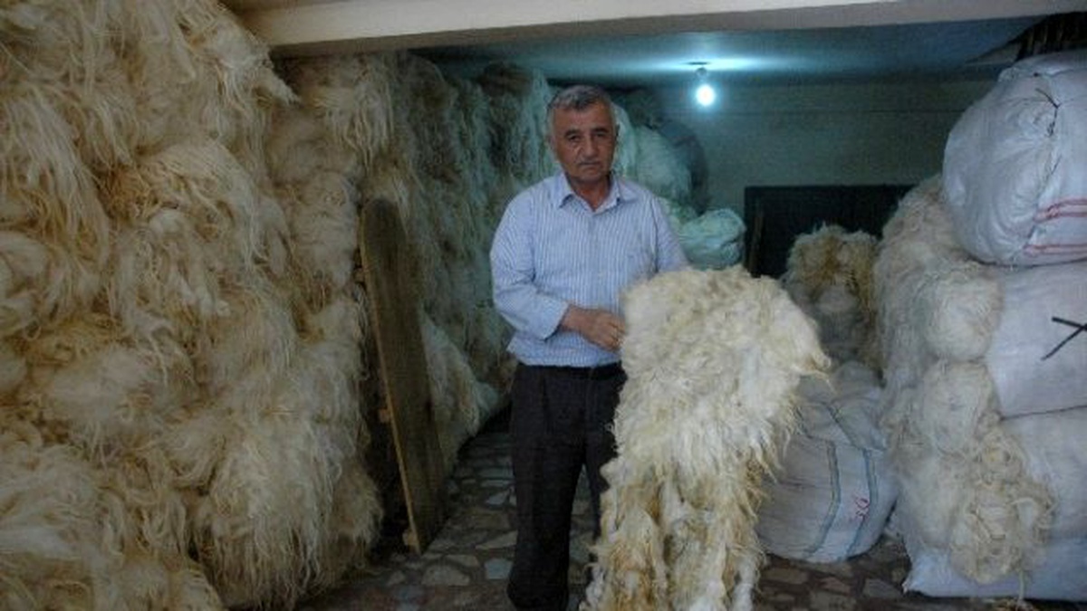 İthal Yün Pahalı Yerli Yün Bulunmuyor