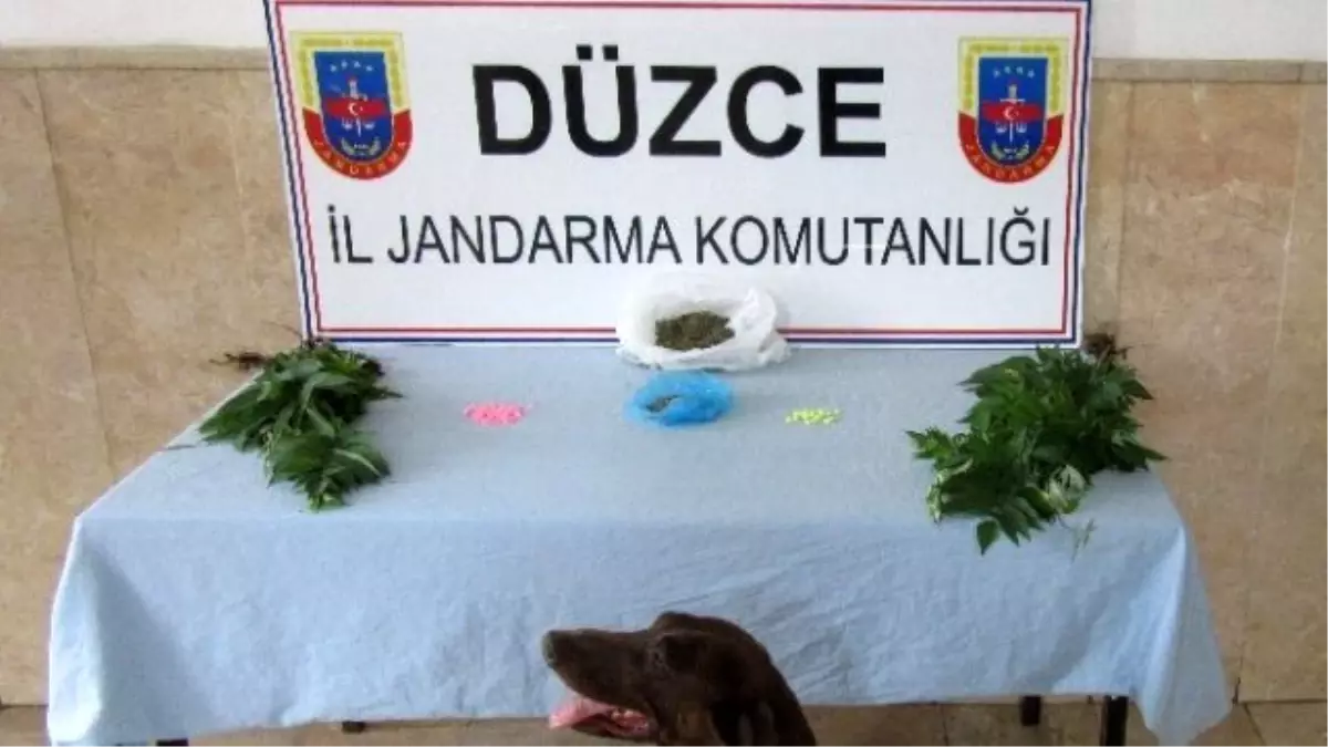 Jandarmadan Uyuşturucu Operasyonu