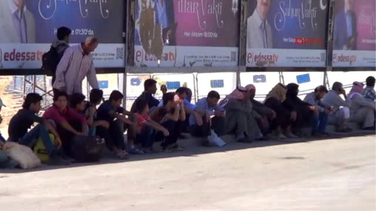 Şanlıurfa Suriyeliler\'in Sınır Kapısındaki Bekliyişi Sürüyor