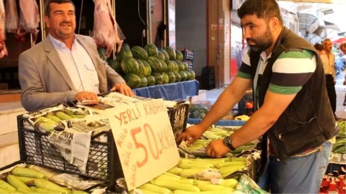 Yerli Kabak 50 Kuruştan Satılmasına Rağmen Rağbet Görmüyor