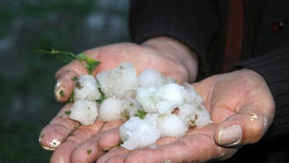 Yozgat\'ta Haziran Ayında Düşen Dolu 25 Bin Dekar Alana Zarar Verdi