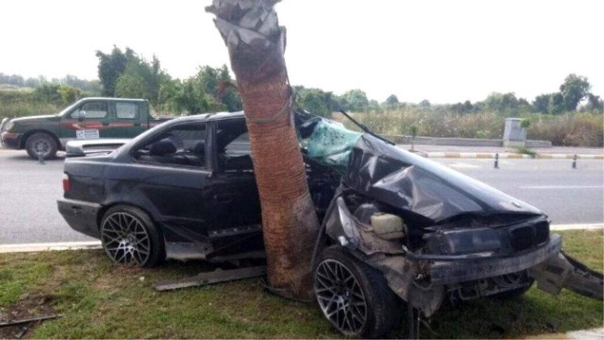 Ağaca Çarpan Otomobil Hurdaya Döndü: 1 Yaralı