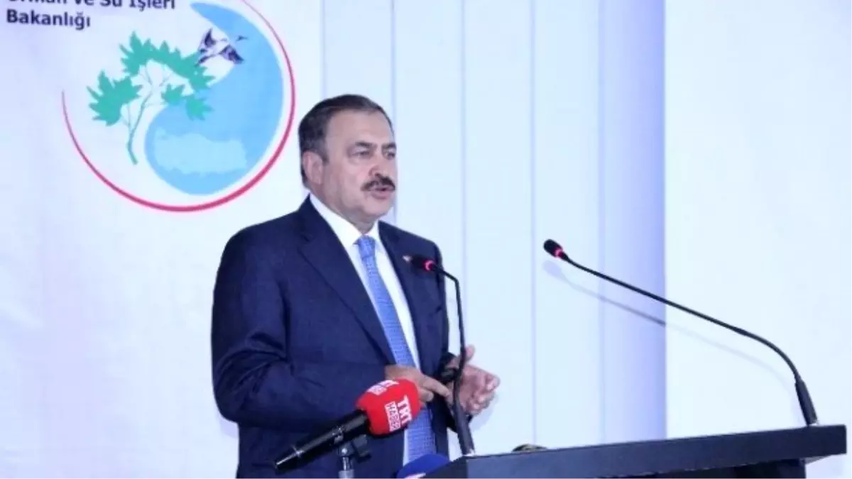 Bakan Eroğlu: "Festival Yapmasınlar, İşlerine Baksınlar"