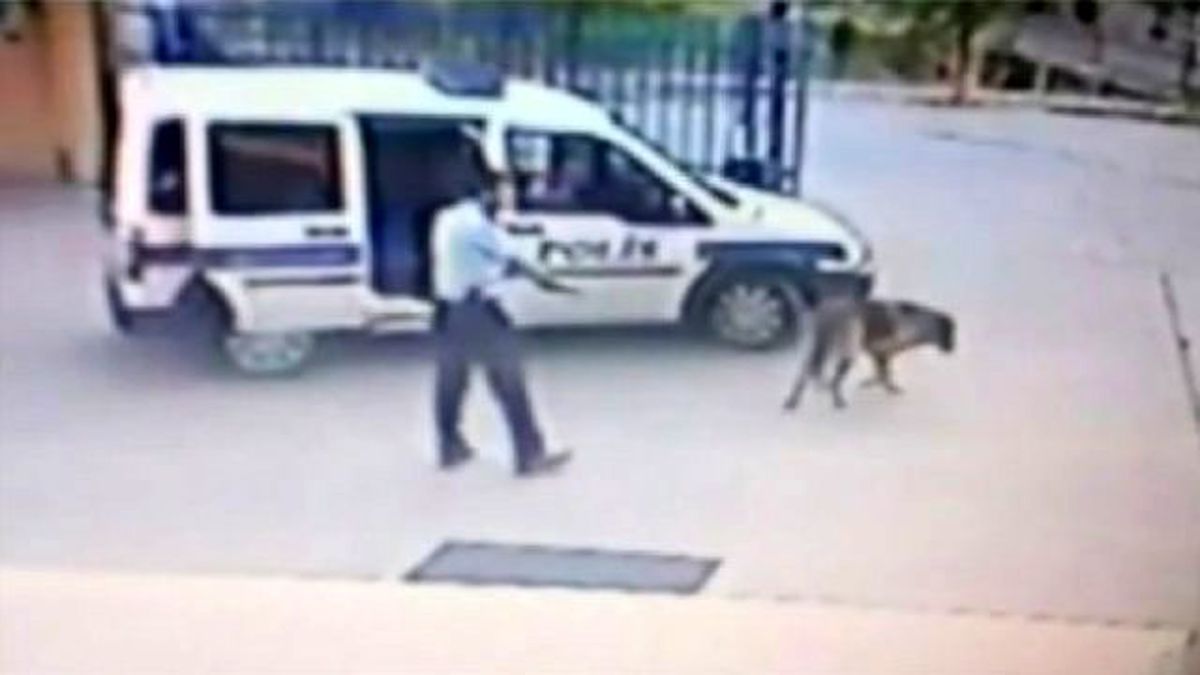 Komiser Yardımıcısı Karakol Bahçesinde Köpeği Vurdu