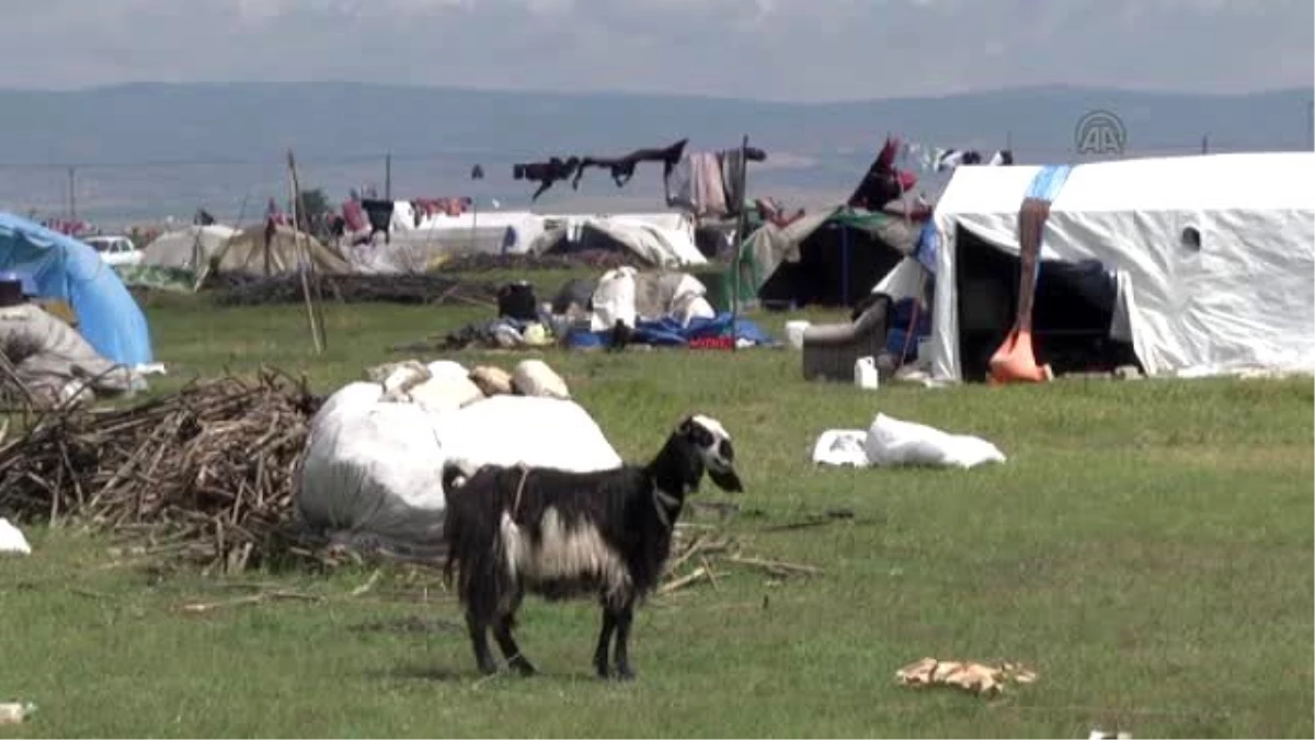 Dededen Toruna Aynı Kaderi Paylaşıyorlar