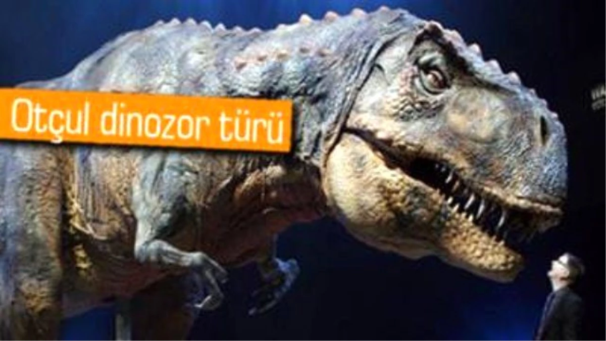 Yeni Bir Dinozor Türü Keşfedildi