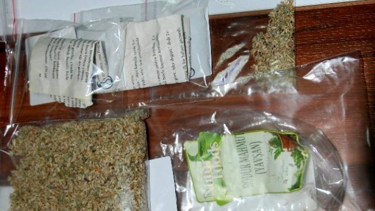 Bonzai ile Yakalanan Genç Tutuklandı