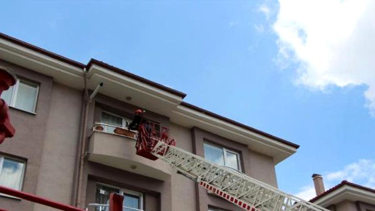 Fileye Takılan Güvercini İtfaiye Kurtardı
