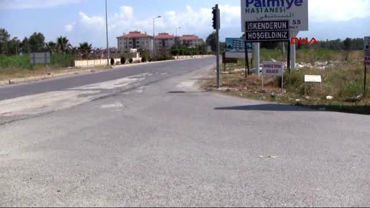 İskenderun Kuduz Risk Bölgesi İlan Edilen İskenderun\'da Sahipsiz Hayvanlar Toplanıyor