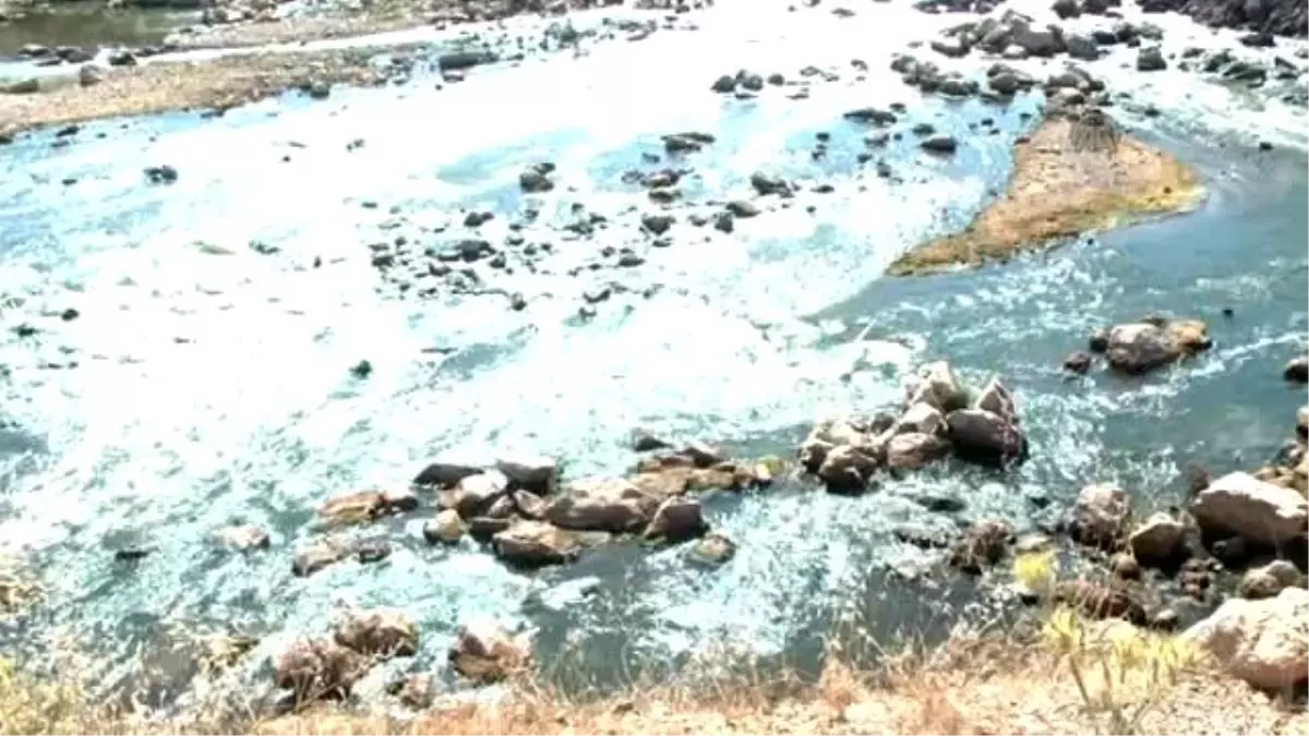 Kahramanmaraş'ta Balık Ölümleri