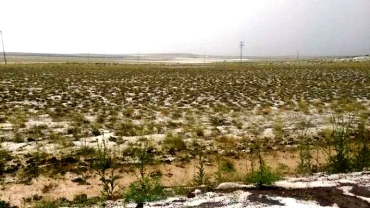 Niğde\'de Tarlaları Dolu Vurdu