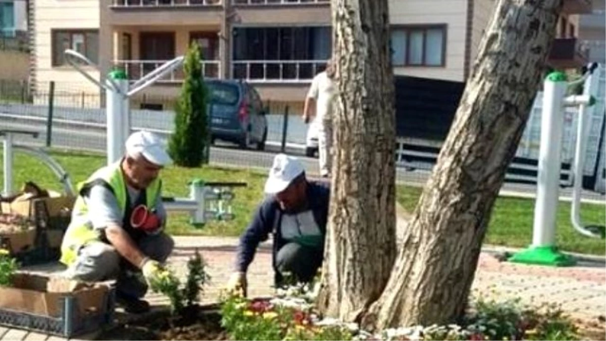 Yeni Yıldırım Yemyeşil