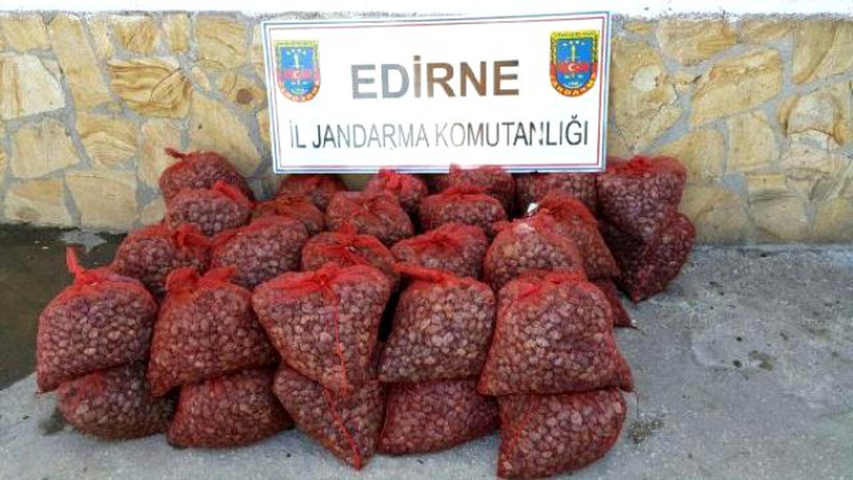 Yunanistan\'a 39 Ton Kaçak Midyeyi, Jandarma Engellendi