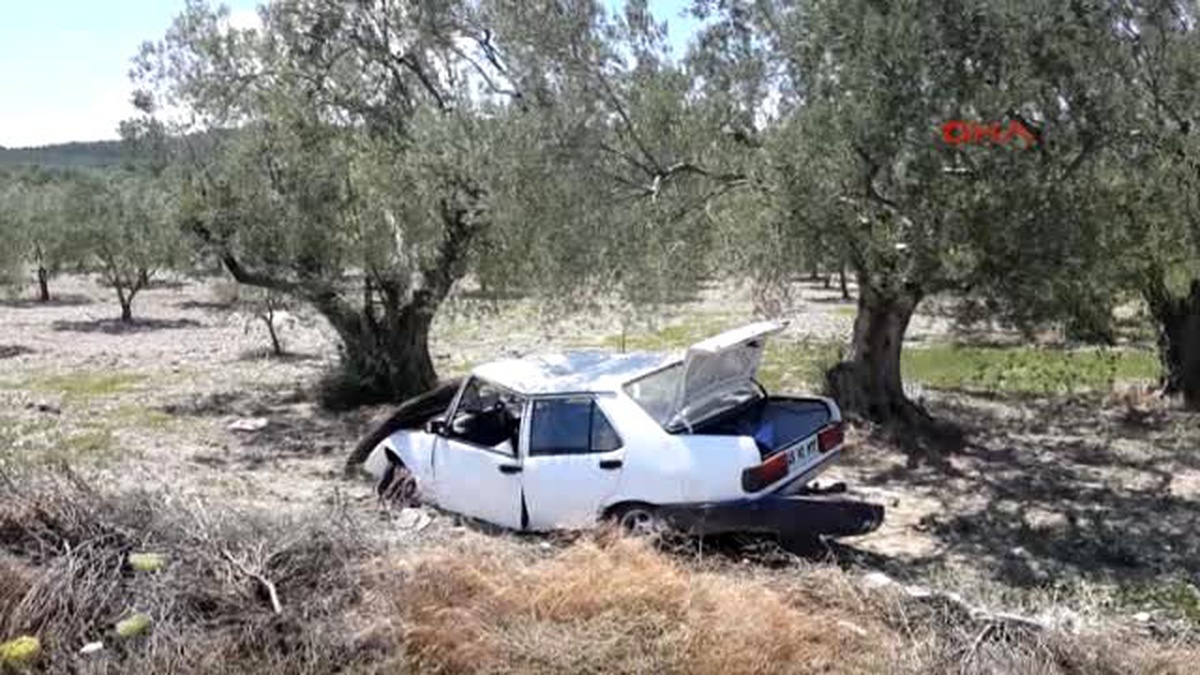 Otomobil Zeytin Tarlasına Uçtu: 2 Yaralı