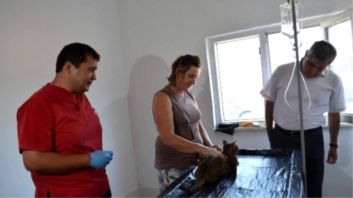 Dalaman Belediyesi'nden Haydost Başkanına Suç Duyurusu