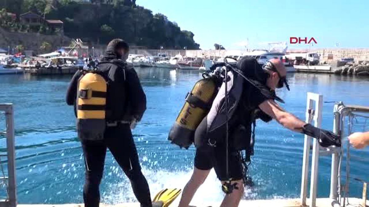 Deniz Dibi Hurdalık Gibi