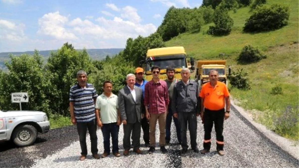 Doğanşar\'da Köy Yollarının Standartları Yükseliyor