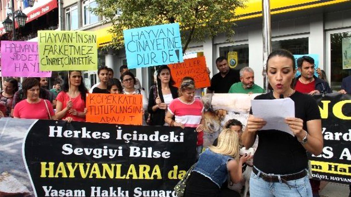 Edirne\'de Pompalı Tüfekle Köpek Vahşetine Tepkiler Büyüyor