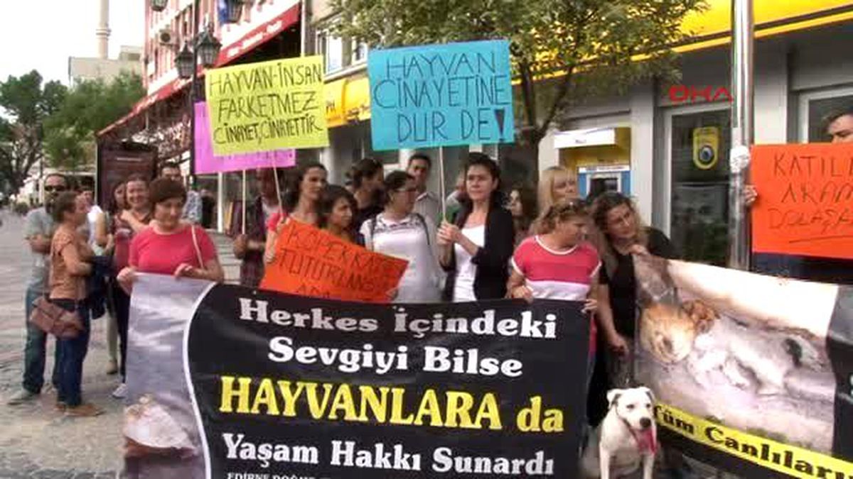 Edirne - Tüfekle Köpek Öldürene 1002 Lira Para Cezası
