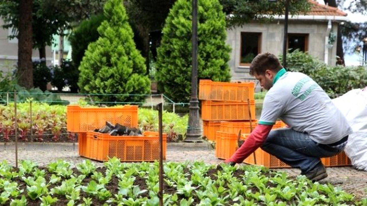 Giresun\'da Tarihi Taşbaşı Parkı Çiçeklendirdi