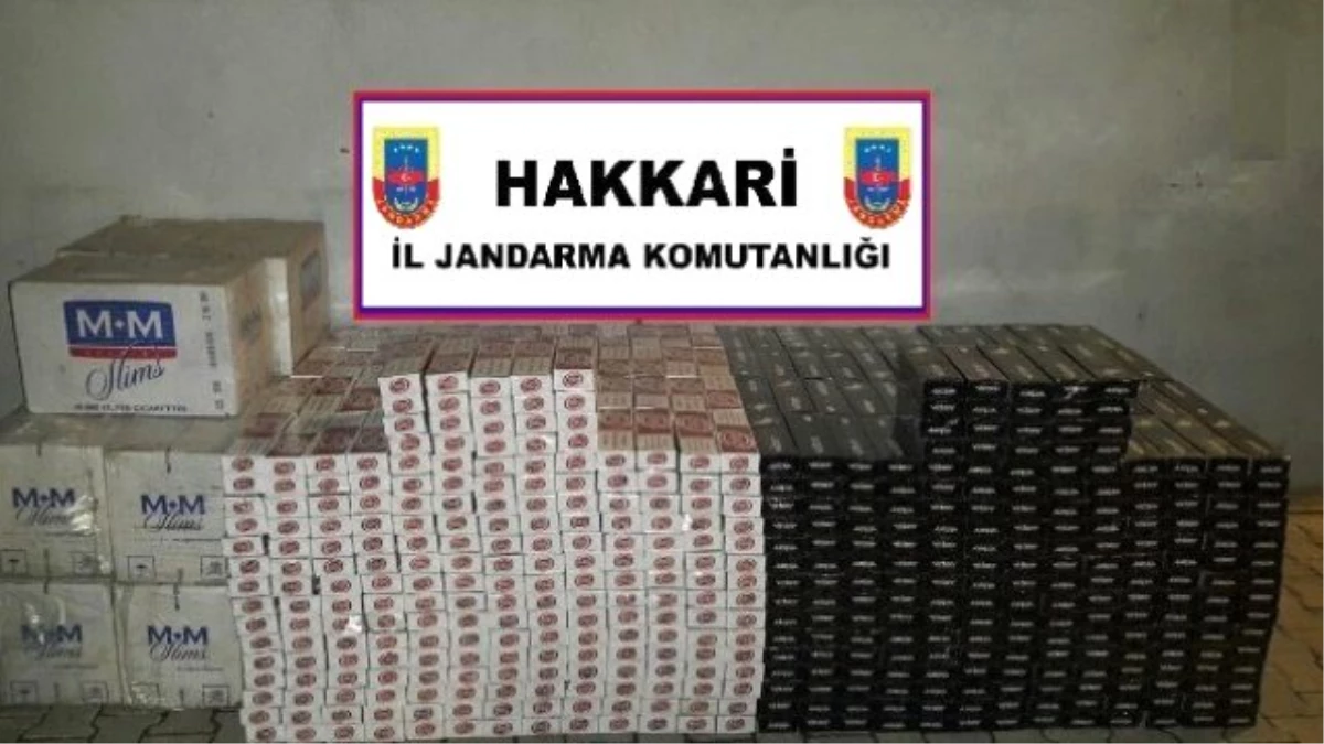 Hakkari\'de Kaçakçılarla Mücadele