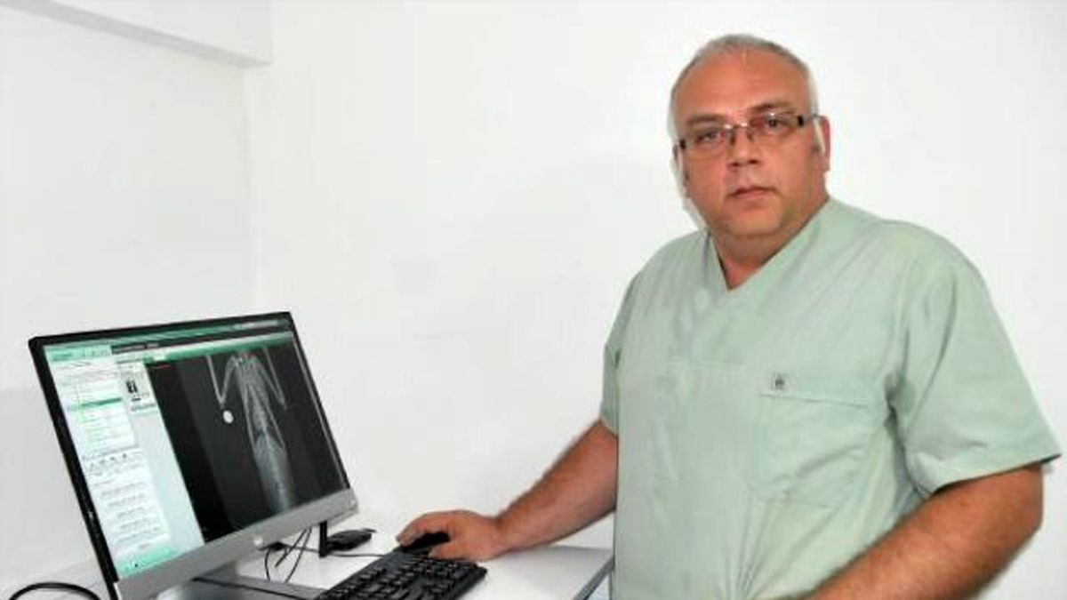 Kediyi Havalı Tüfekle Vurdular