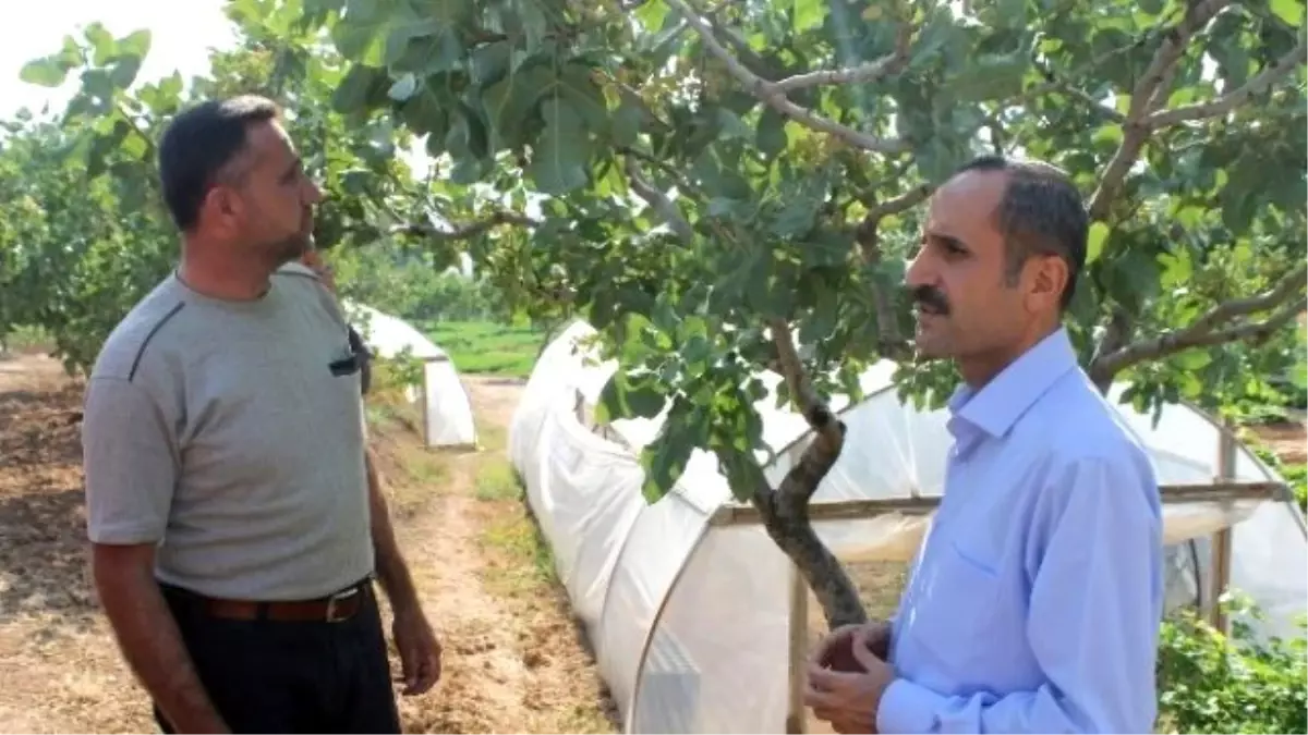 Kırsal Kalkınma Yatırımları İçin Sözleşmeler İmzalandı