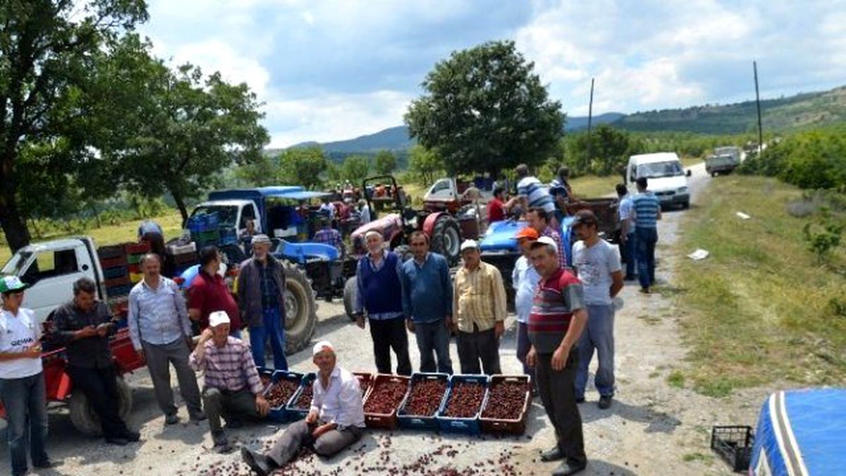 İhracat Yapamayan Kiraz Üreticileri Yol Kapattı