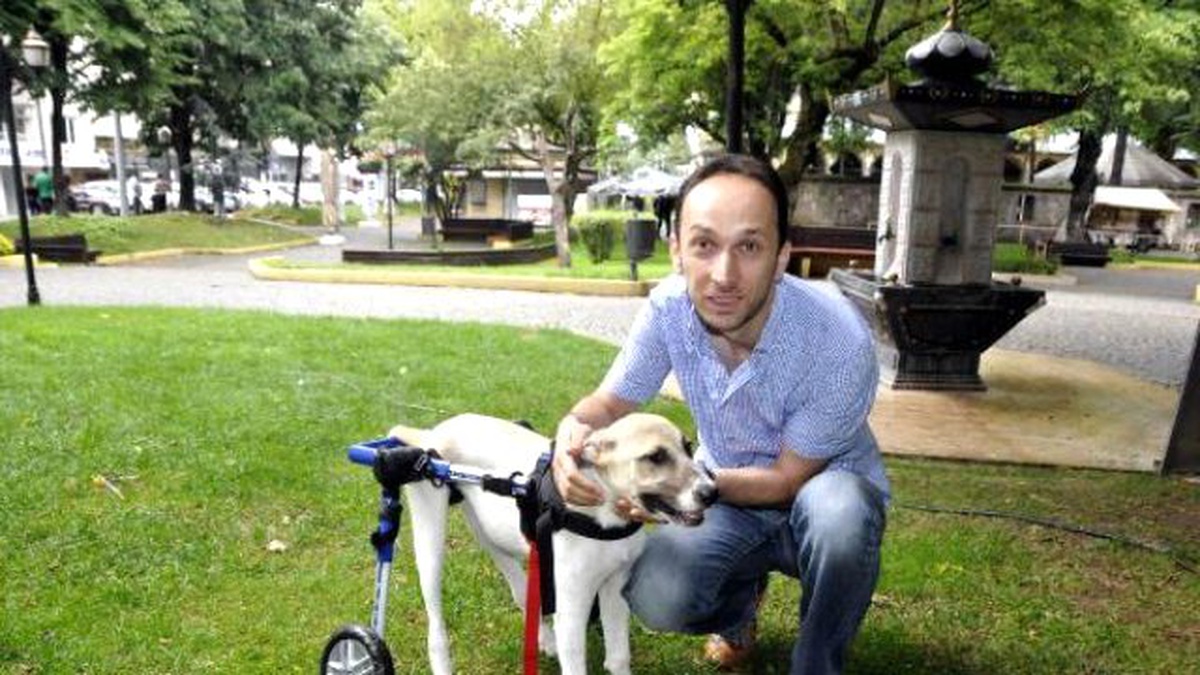 Sakat Sokak Köpeği İçin Yurtdışından Yürüteç Getirtti