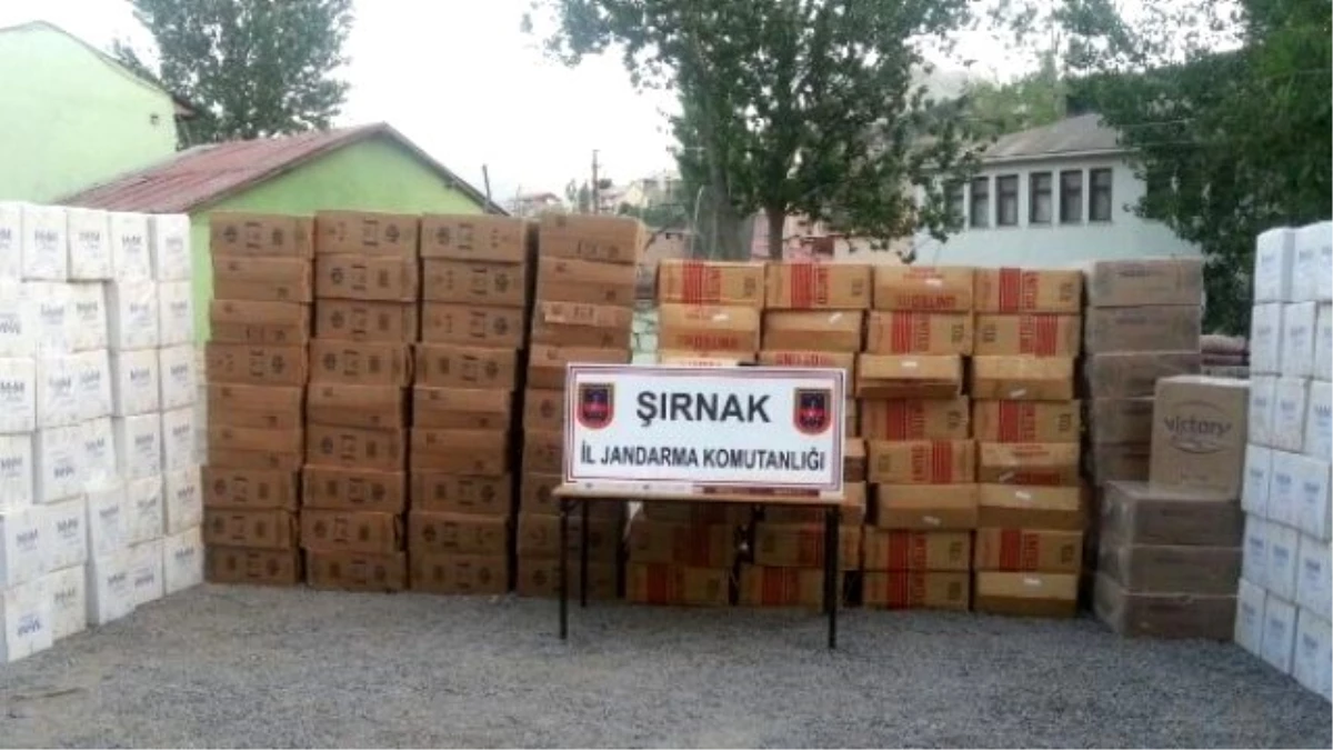 Şırnak\'ta 69 Bin Paket Kaçak Sigara Ele Geçirildi