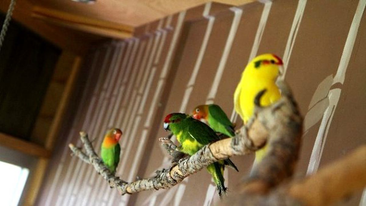 Tay Park Ailesi Büyüyor