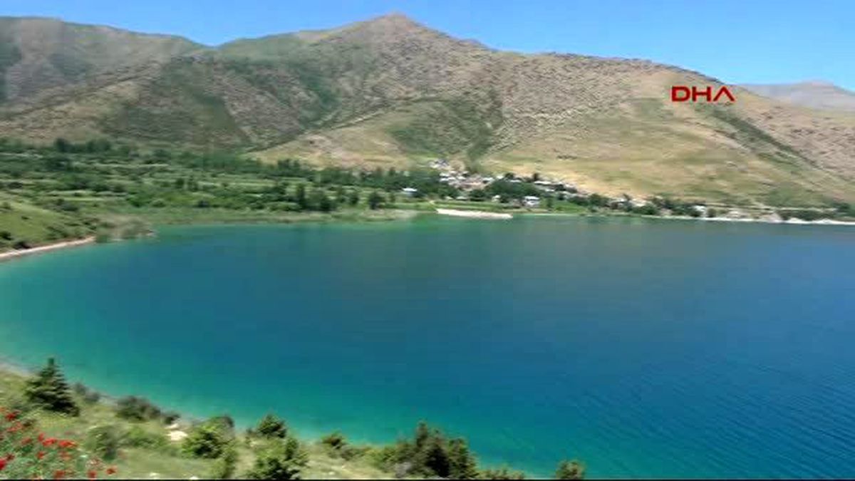 Van Gölü İçin Seferber Oldular