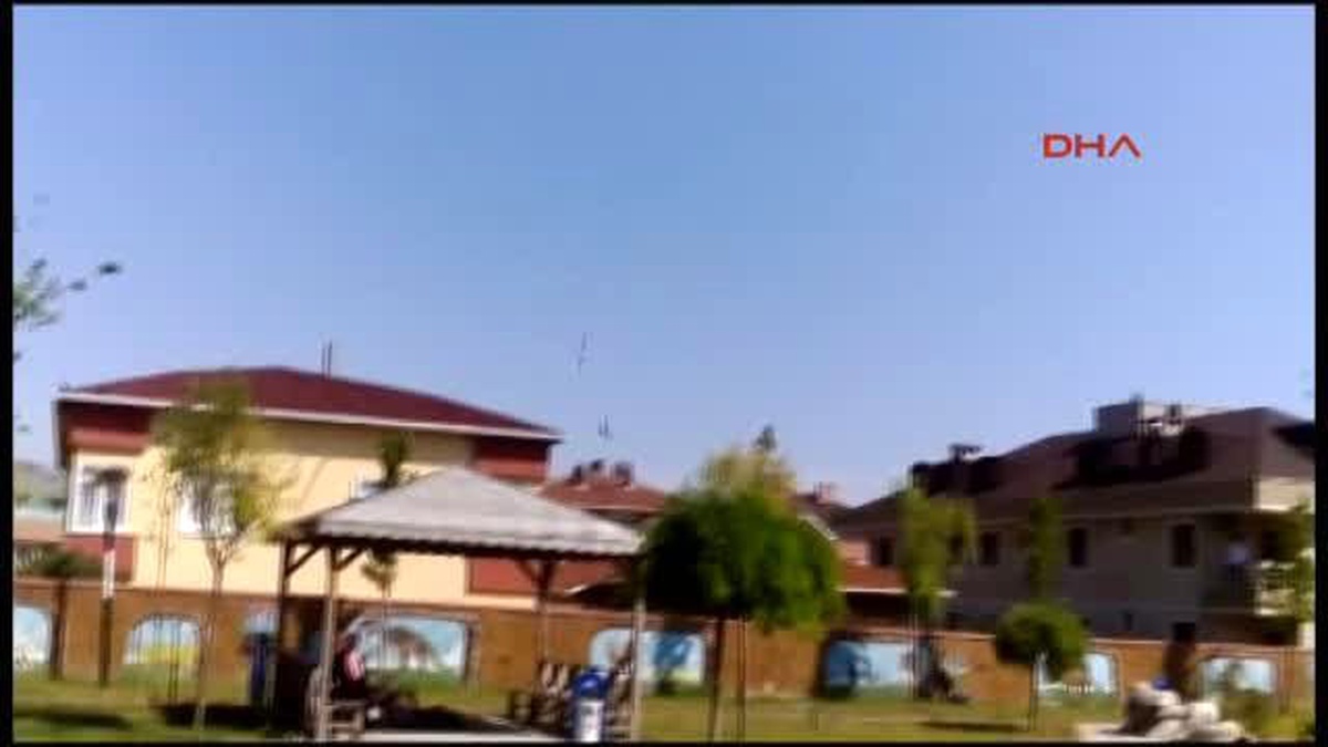 Yaralı Şahin Tedavinin Ardından Doğaya Salındı