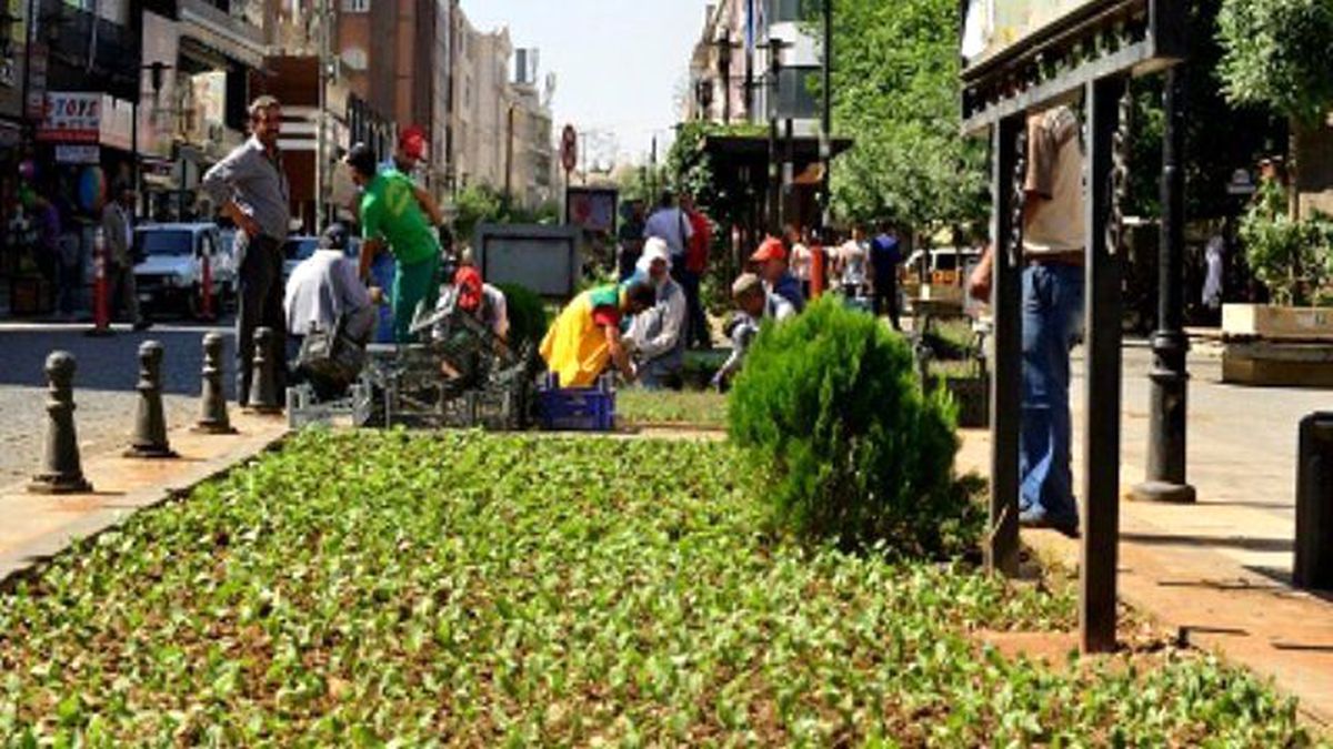 Altı Ayda 600 Bin Mevsimlik Çiçek Ekildi