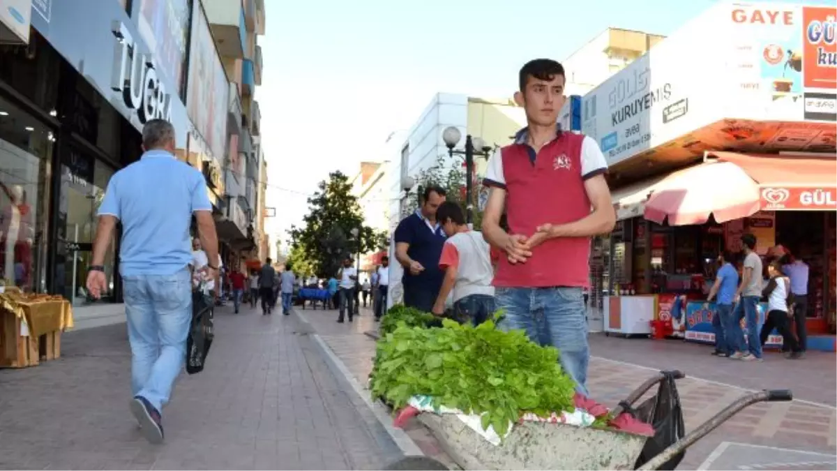 Bahçede Yetiştirdiği Otları Satarak Ailesinin Geçimini Sağlıyor