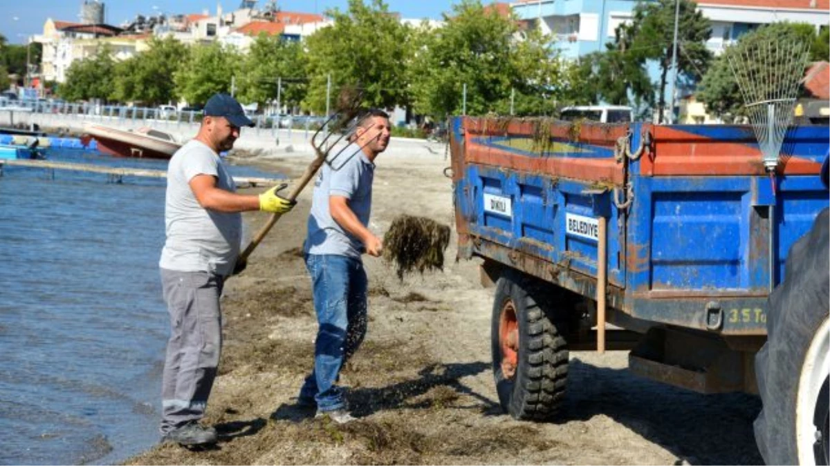 Çandarlı Plajlarında Sabah Temizliği