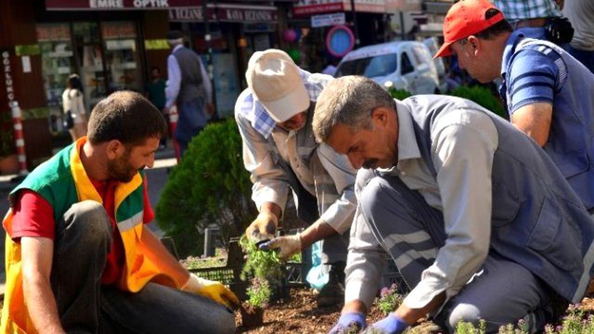 Diyarbakır\'da 6 Ayda 600 Bin Mevsimlik Çiçek Ekildi