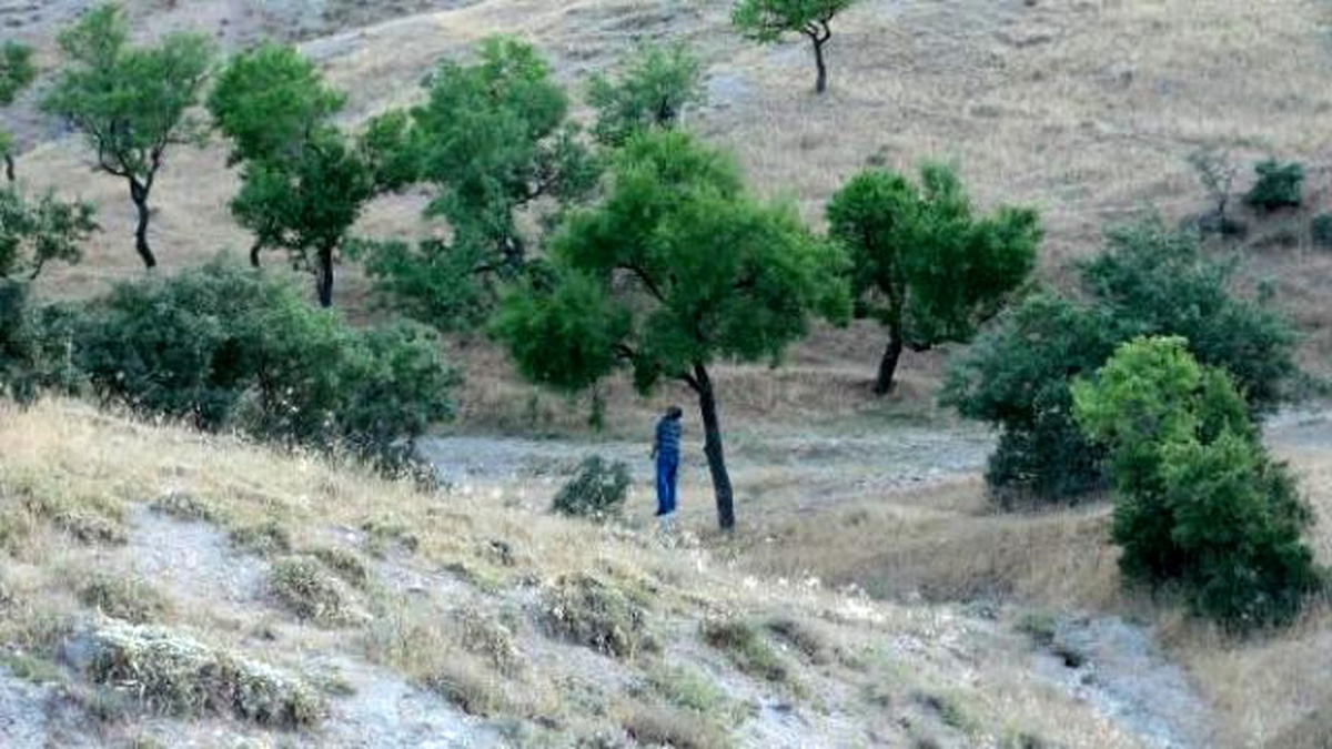 Kayıp Taksici Ağaçta Asılı Bulundu