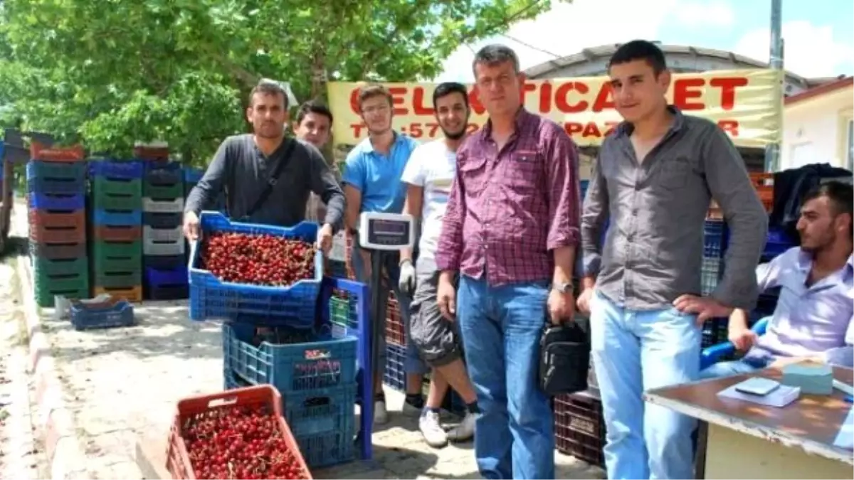 Organik Kiraz Yetiştiriciliği Çiftçilerin Yüzünü Güldürdü